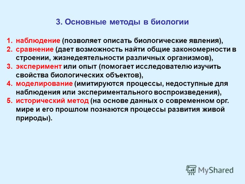 Роль биологии в формировании естественнонаучной картины мира и практической деятельности людей